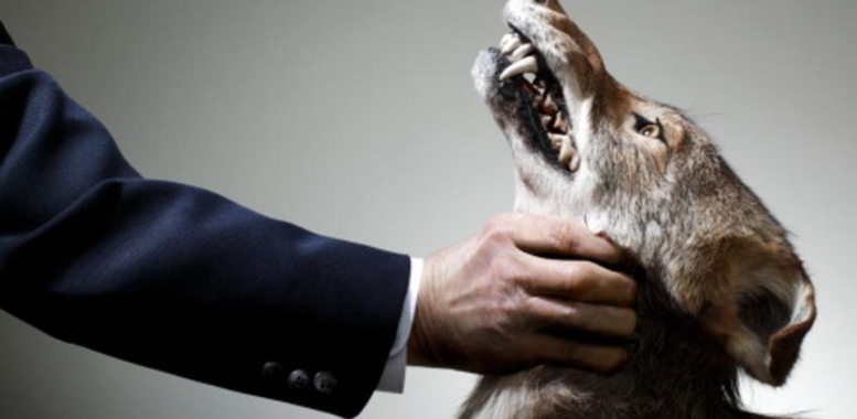 Vigilante agrede a un perro en centro comercial de Bogotá
